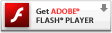 Adobe Flash Player PLUG-In